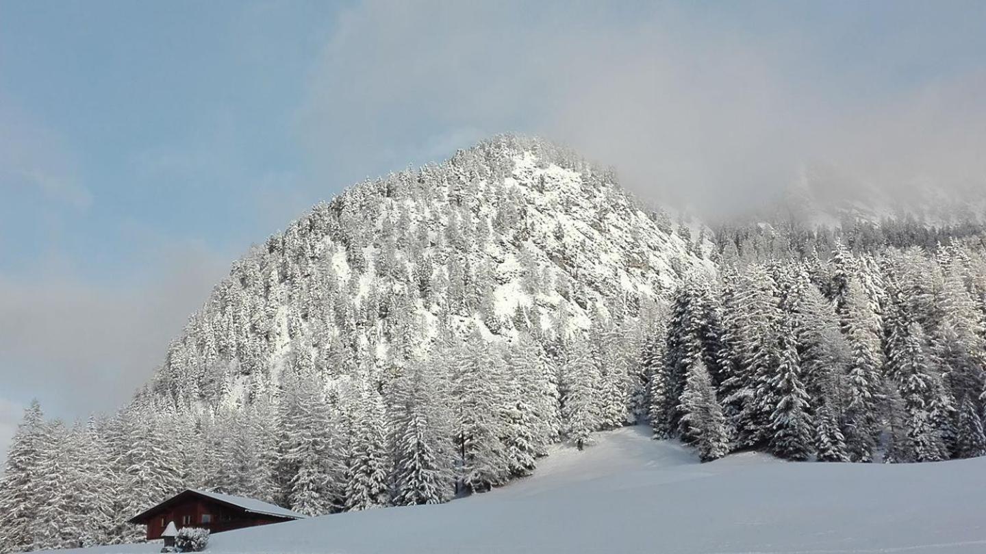 Garni Hotel Iris Selva di Val Gardena Exterior foto