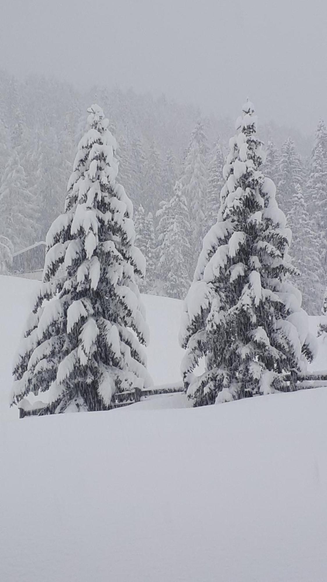 Garni Hotel Iris Selva di Val Gardena Exterior foto